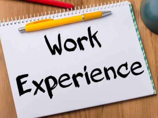 work+experience+image